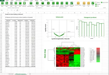 Miniatura XLSTAT Software