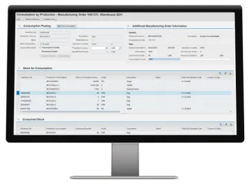 Miniatura SAP EWM Gestión-Almacén