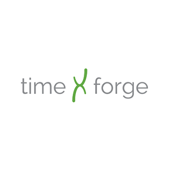 TimeForge logotipo